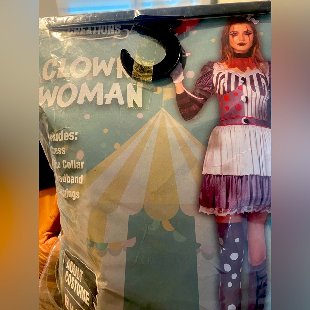 Clown costume
